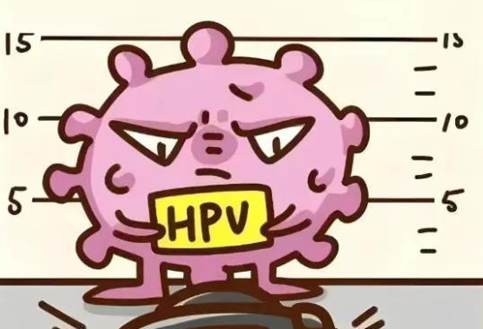 HPV凝膠廠家