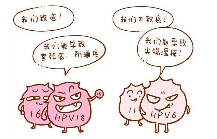 360截圖20250527095033467.jpg