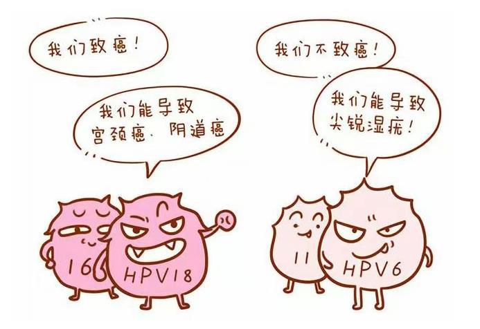 hpv凝膠定制工廠